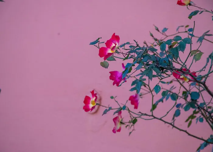 Hotel Byron Traditional Nauplie